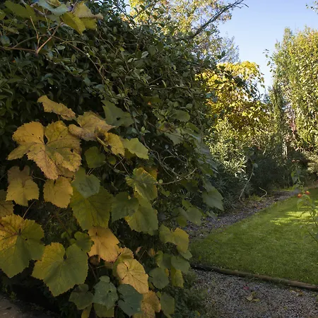 Bed & Breakfast Al Porto Di 3*